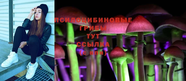винт Баксан
