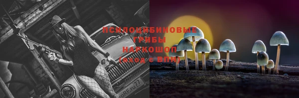 винт Баксан
